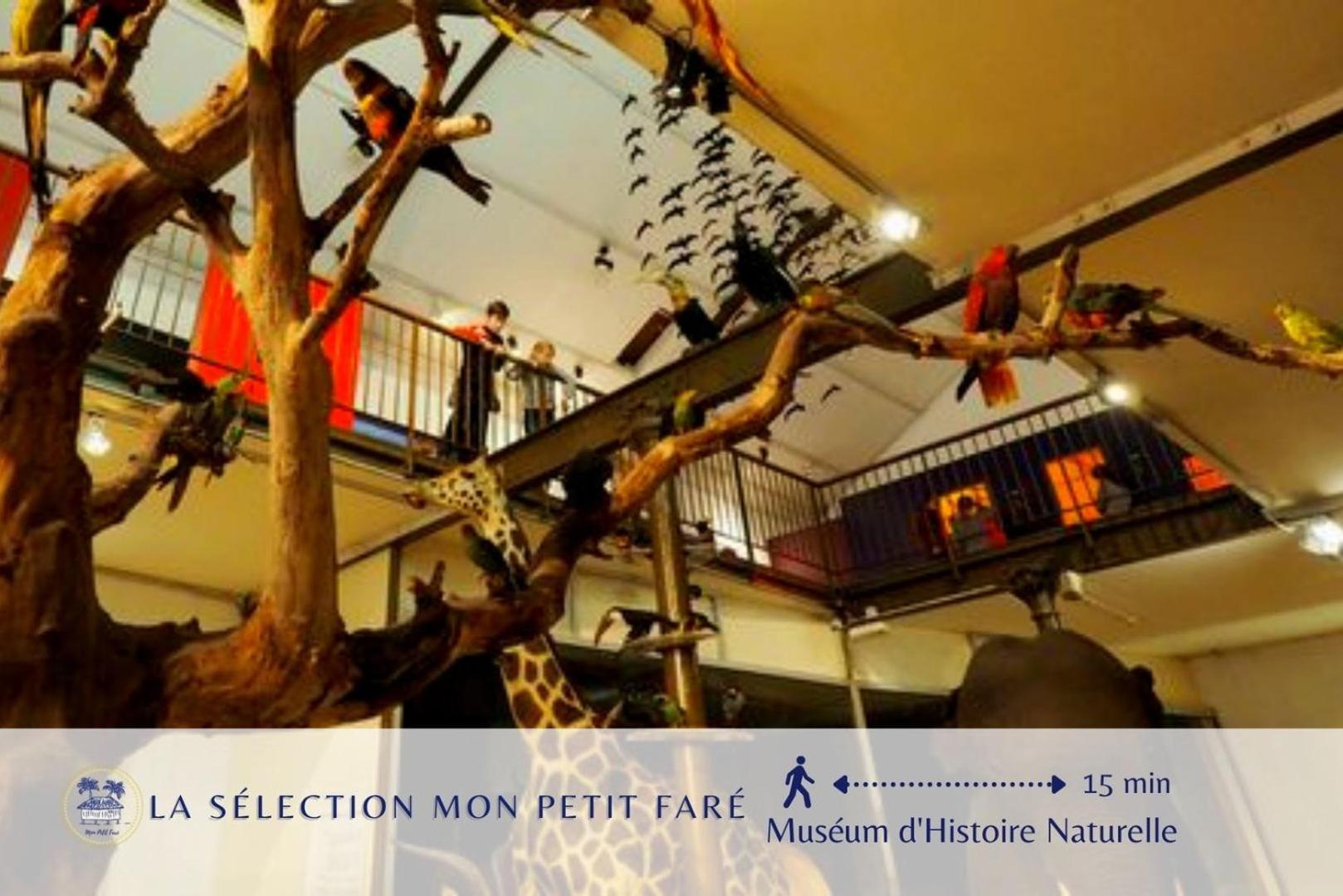 Paradis Des Poutres - Renove & Centre-Ville Bourges Zewnętrze zdjęcie